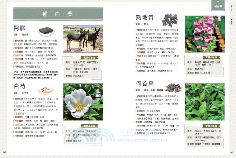 生活裡的中藥材大百科：圖解620種中藥材╳137道養生藥膳食譜╳586帖實用小偏方