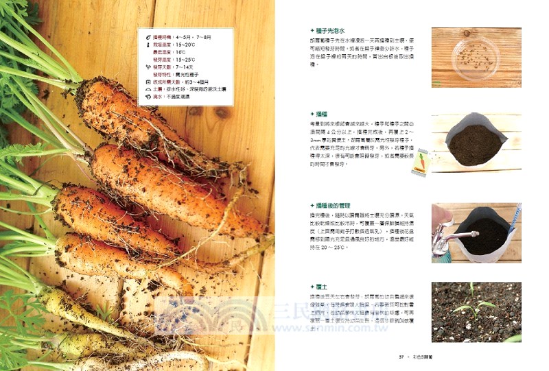 輕鬆打造陽台農場：30種蔬果香草簡單種、安心吃，健康綠活！