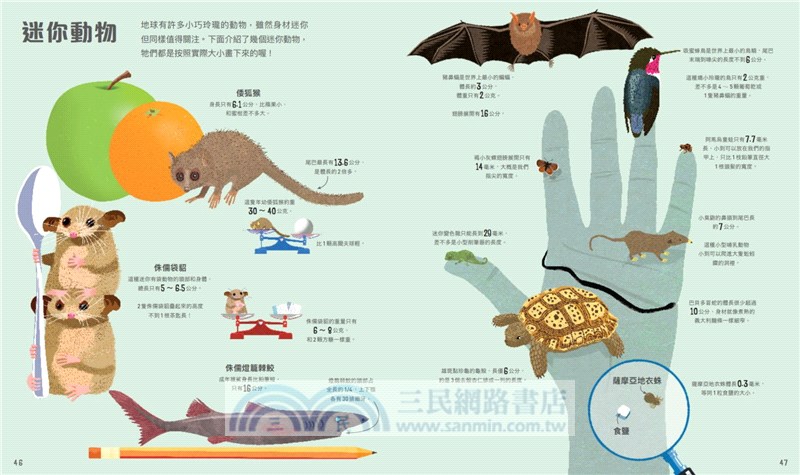 圖解超級比一比：用奇妙的比例尺認識全世界（108課綱跨領域學習最佳讀物‧重量級科普專家聯合推薦！英國每日電訊報年度最佳童書）