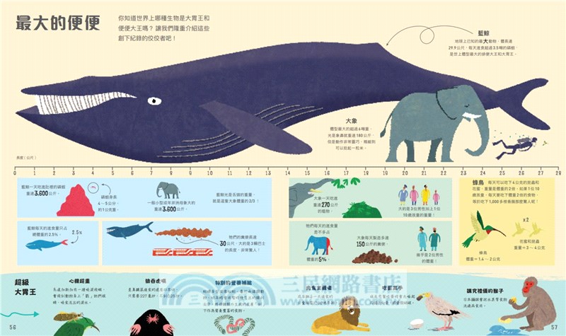 圖解超級比一比：用奇妙的比例尺認識全世界（108課綱跨領域學習最佳讀物‧重量級科普專家聯合推薦！英國每日電訊報年度最佳童書）
