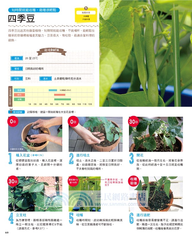 廚房＆陽台都OK：自然栽培的迷你農場