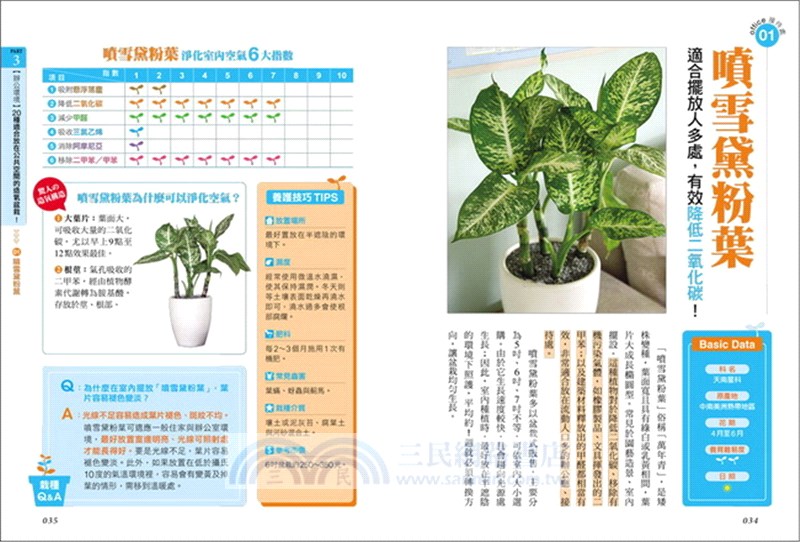 淨化空氣的造氧盆栽：揮別空汙，遠離過敏、嗜睡、致癌物，適合居家、辦公環境的40款功能性盆栽