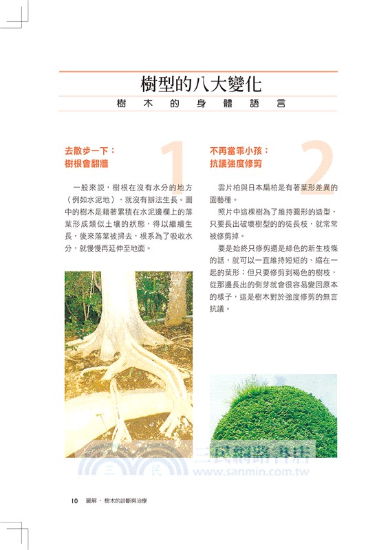圖解樹木的診斷與治療：愛樹、種樹、養樹、醫樹，請先讀懂樹的語言，了解樹的心聲