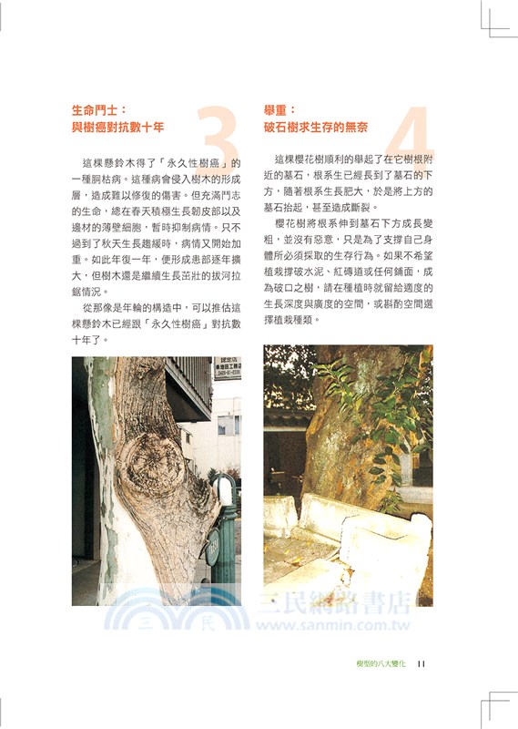 圖解樹木的診斷與治療：愛樹、種樹、養樹、醫樹，請先讀懂樹的語言，了解樹的心聲