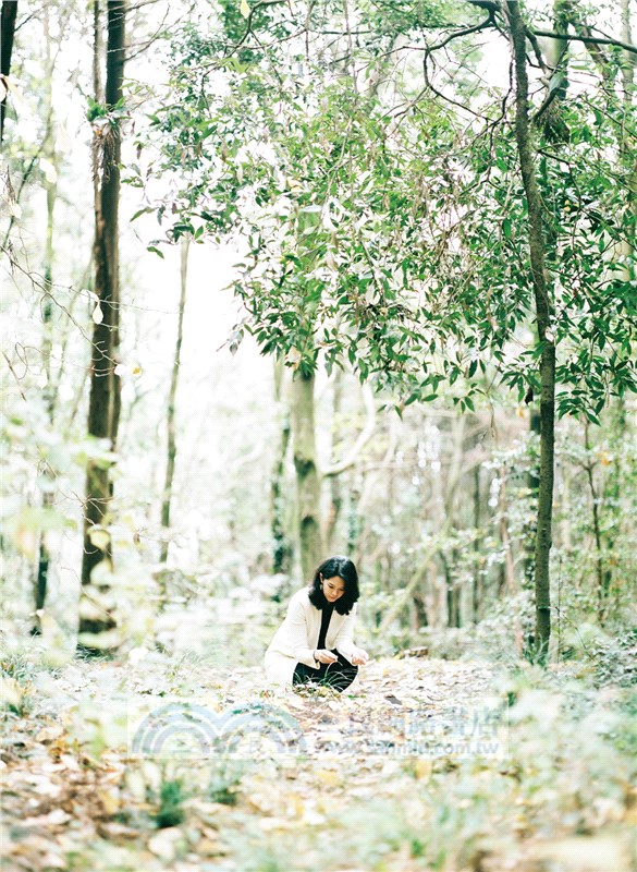 英文藝術字的詩意書寫：書寫教學+68種設計提案