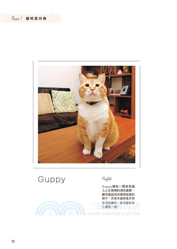 蓬蓬毛線球貓咪：捲一捲、剪一剪、戳一戳，用毛線球做出全身樣貌的擬真小貓咪