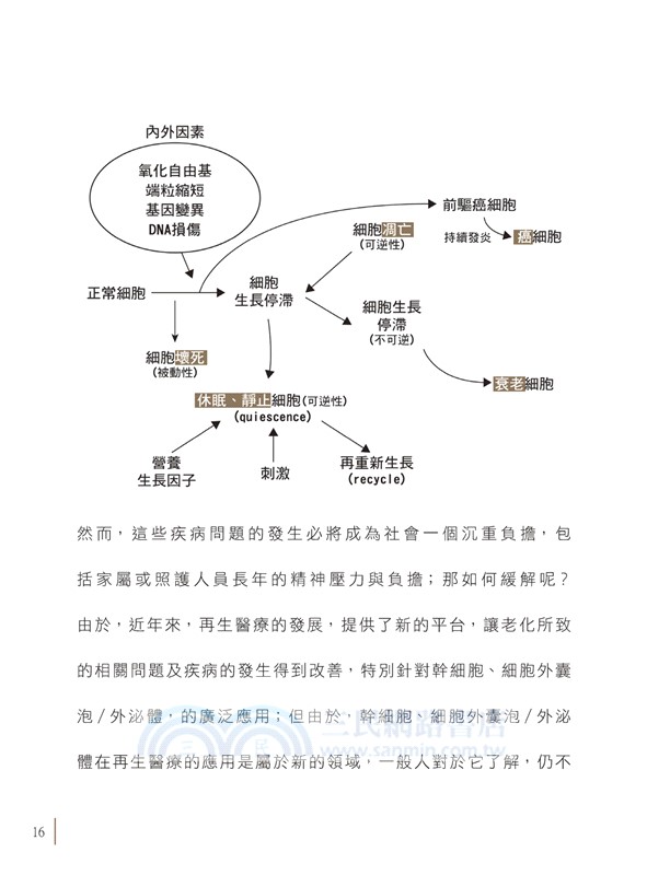 衰老細胞：導致老化疾病或誘發癌症？ ─僵屍細胞、幹細胞、外泌體─