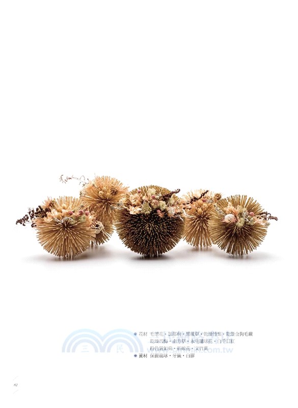 冠軍花藝師的設計╳思考：學花藝一定要懂的10堂基礎美學課