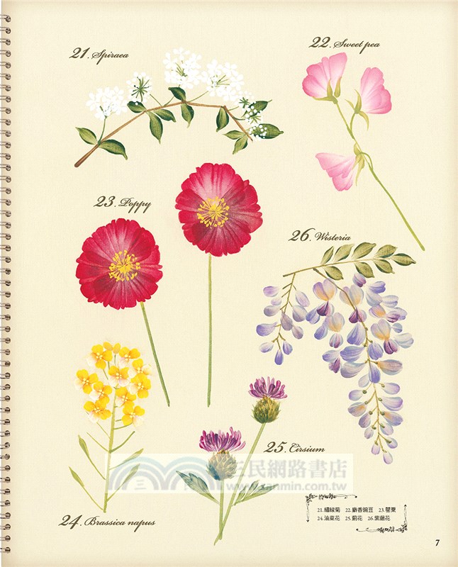 輕鬆學彩繪：川島詠子の花草圖案集105【暢銷新裝版】