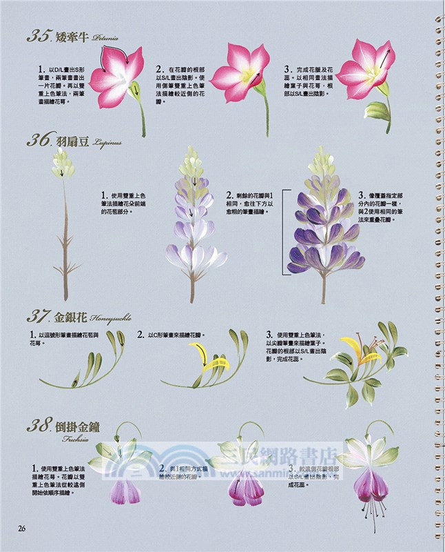 輕鬆學彩繪：川島詠子の花草圖案集105【暢銷新裝版】