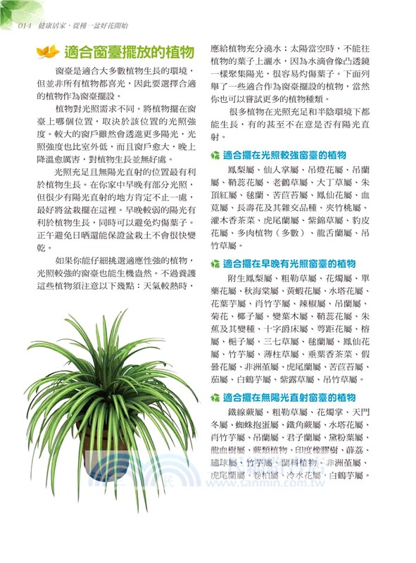 居家療癒植栽：39種保健花草輕鬆養，淨化空氣、景觀裝飾、除輻射、防蟲害、舒壓芳療