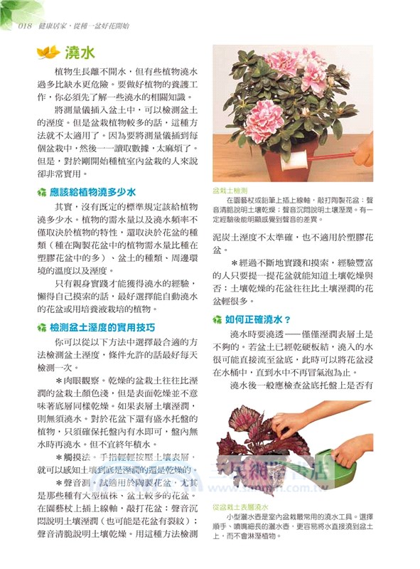 居家療癒植栽：39種保健花草輕鬆養，淨化空氣、景觀裝飾、除輻射、防蟲害、舒壓芳療