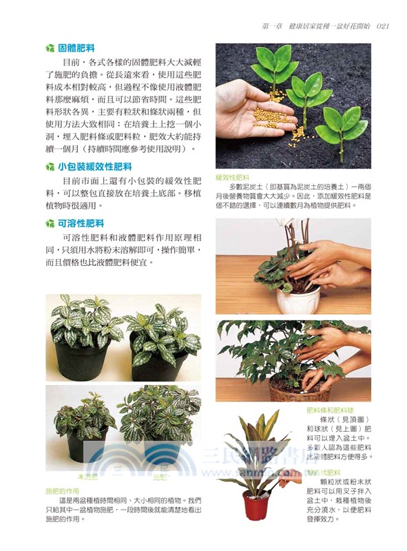 居家療癒植栽：39種保健花草輕鬆養，淨化空氣、景觀裝飾、除輻射、防蟲害、舒壓芳療