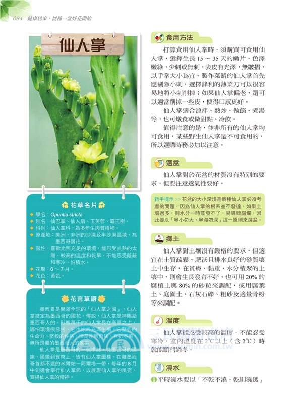 居家療癒植栽：39種保健花草輕鬆養，淨化空氣、景觀裝飾、除輻射、防蟲害、舒壓芳療