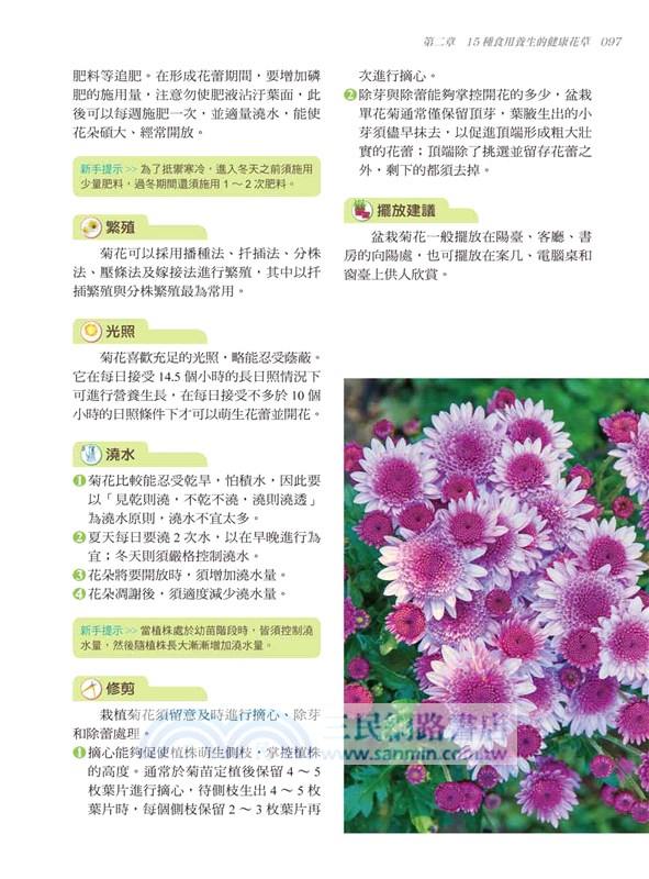 居家療癒植栽：39種保健花草輕鬆養，淨化空氣、景觀裝飾、除輻射、防蟲害、舒壓芳療