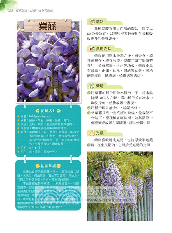 居家療癒植栽：39種保健花草輕鬆養，淨化空氣、景觀裝飾、除輻射、防蟲害、舒壓芳療