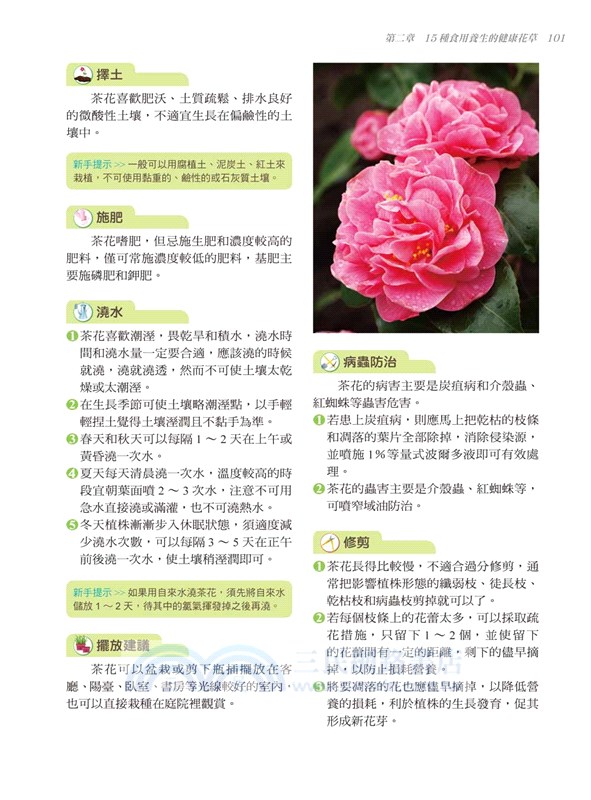 居家療癒植栽：39種保健花草輕鬆養，淨化空氣、景觀裝飾、除輻射、防蟲害、舒壓芳療