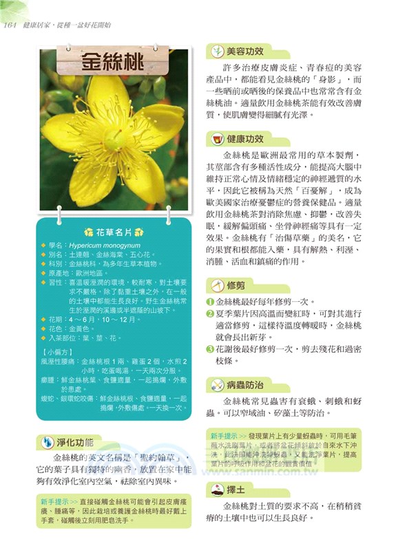 居家療癒植栽：39種保健花草輕鬆養，淨化空氣、景觀裝飾、除輻射、防蟲害、舒壓芳療