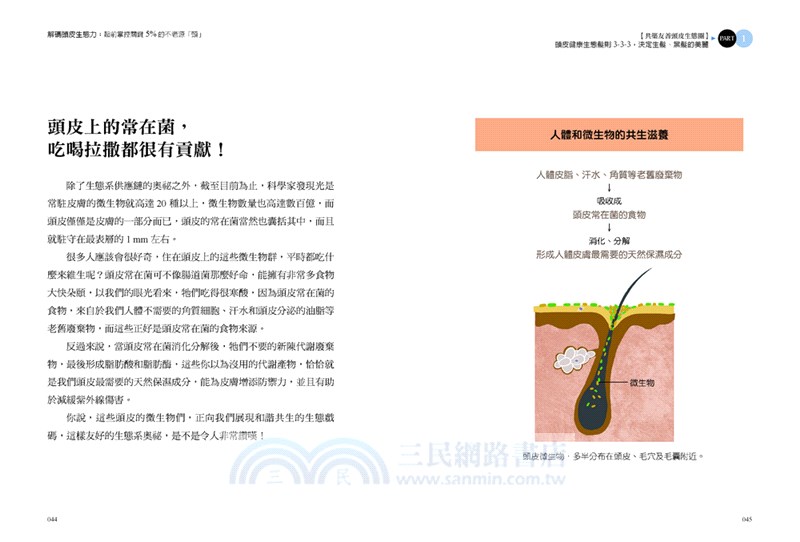 解碼頭皮生態力：超前掌控關鍵5％的不老源頭-頂尖細胞專家黃琇琴博士教你－終結敏弱、油落、禿白 髮界迷思三部曲