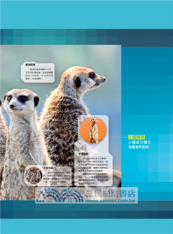 世界陸地動物圖鑑大百科