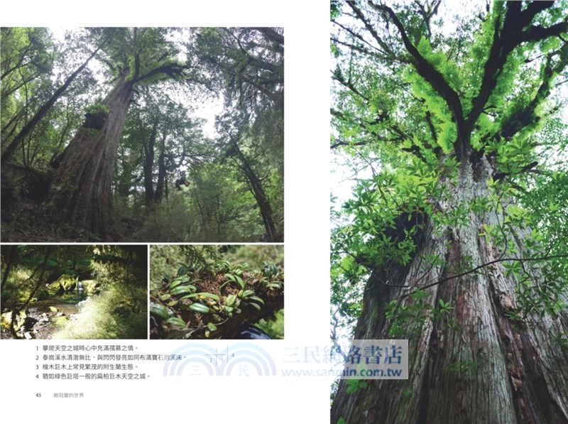 找樹的人：一個植物學者的東亞巨木追尋之旅