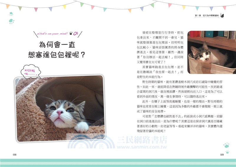 喵星人你怎麼說？當貓奴遇到了喵星人，其實牠沒有你想像中的難搞 !