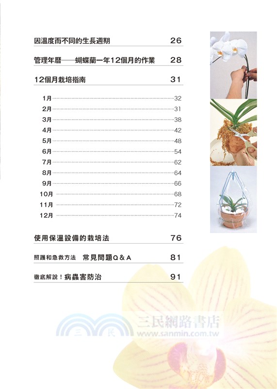 全年度蝴蝶蘭栽培基礎書