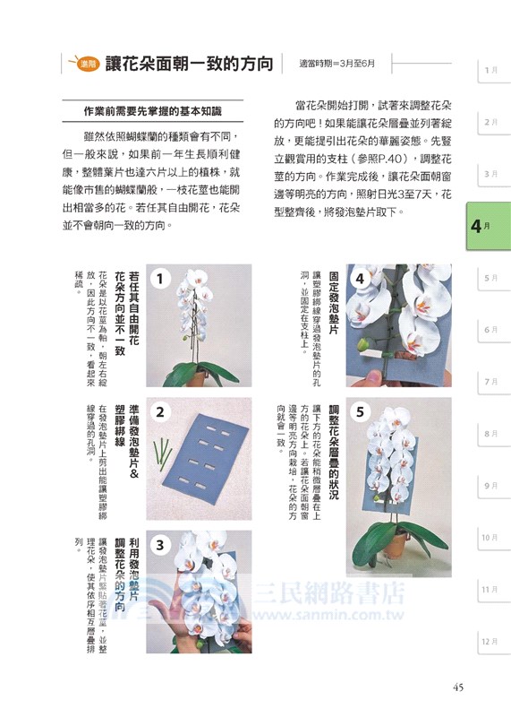 全年度蝴蝶蘭栽培基礎書