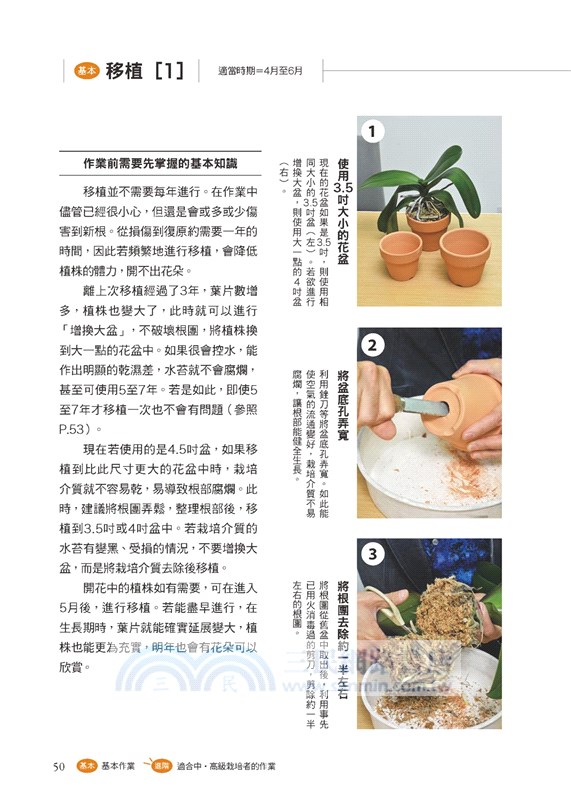 全年度蝴蝶蘭栽培基礎書