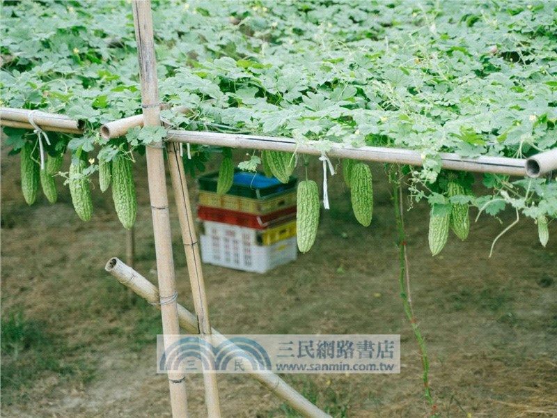 在路上 On the Road:龍潭、關西、橫山、竹東、北埔、峨眉、獅潭、大湖、東勢（三冊合售）