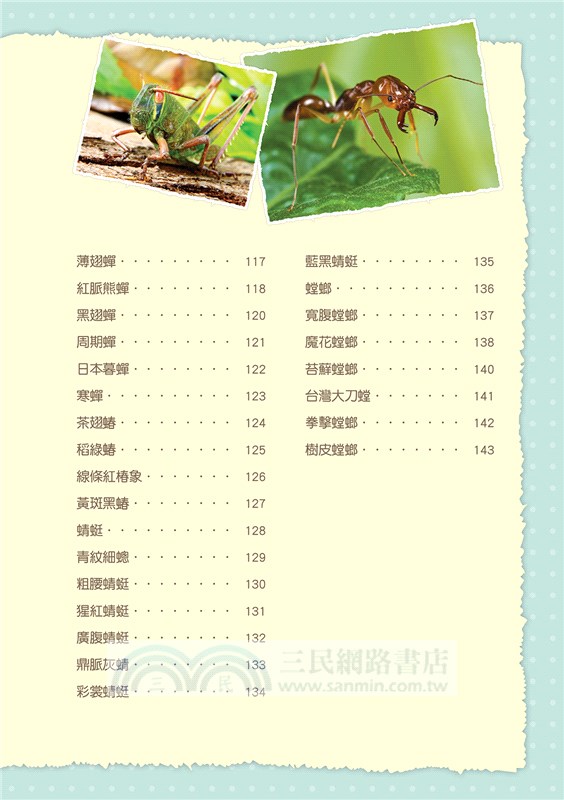 世界昆蟲圖鑑小百科《六足動物》