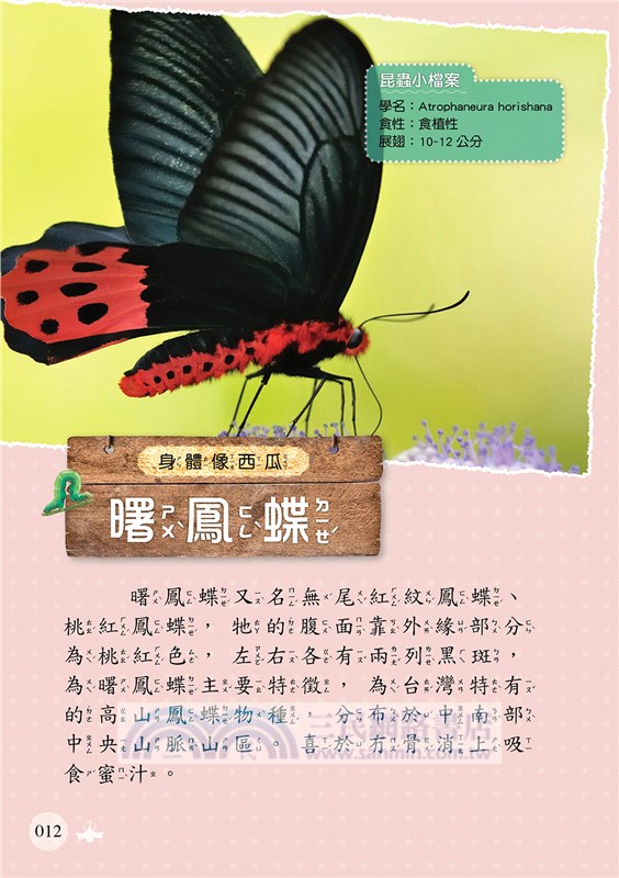 世界昆蟲圖鑑小百科《六足動物》