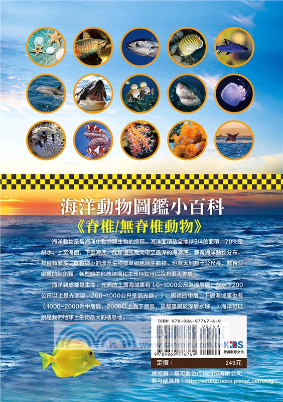 海洋動物圖鑑小百科《脊椎／無脊椎動物》