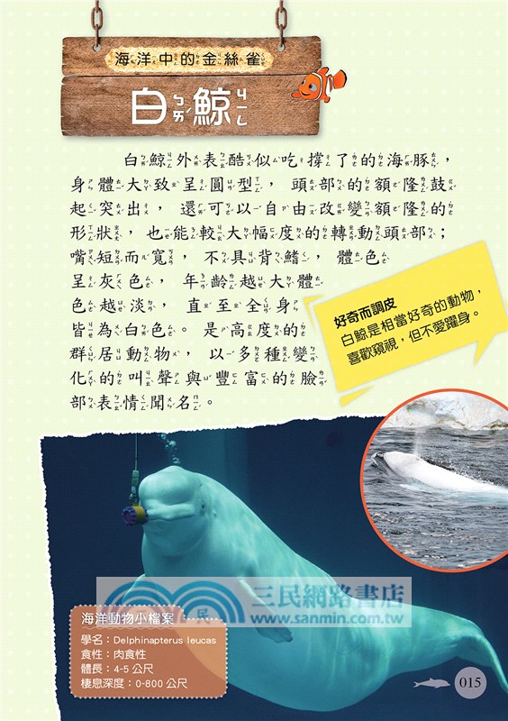 海洋動物圖鑑小百科《脊椎／無脊椎動物》