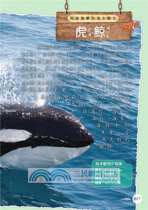 海洋動物圖鑑小百科《脊椎／無脊椎動物》