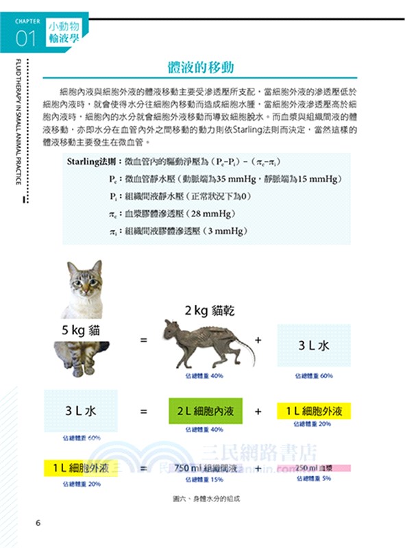 小動物輸液學