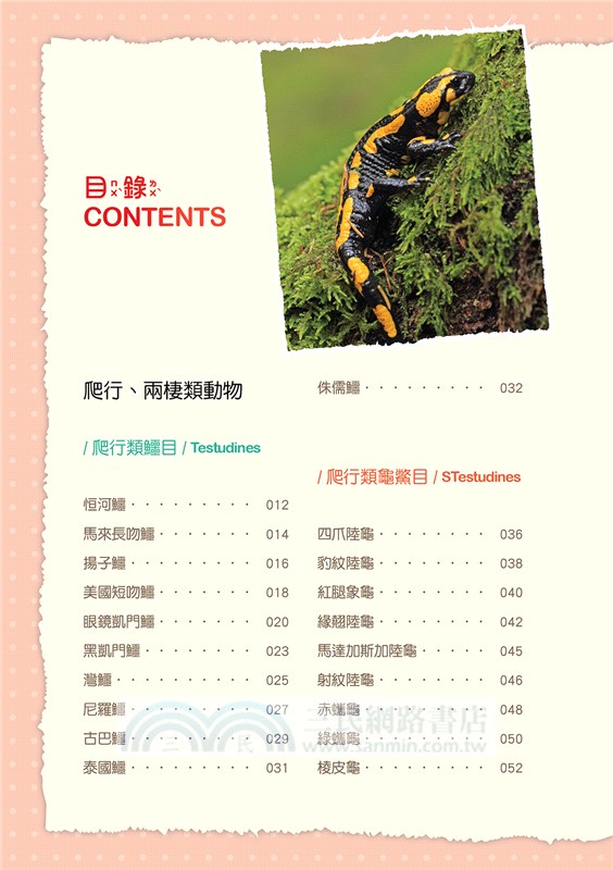 兩棲、爬行動物小百科