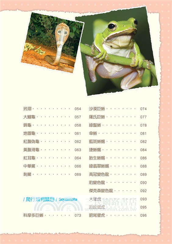 兩棲、爬行動物小百科