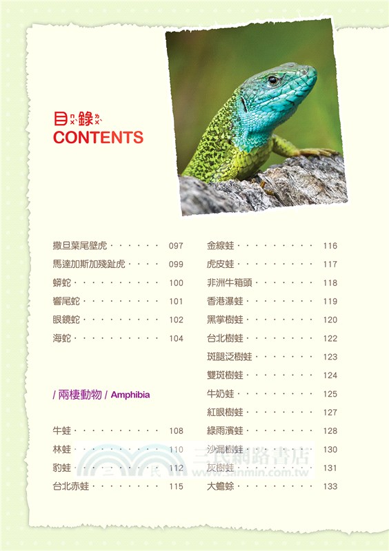 兩棲、爬行動物小百科