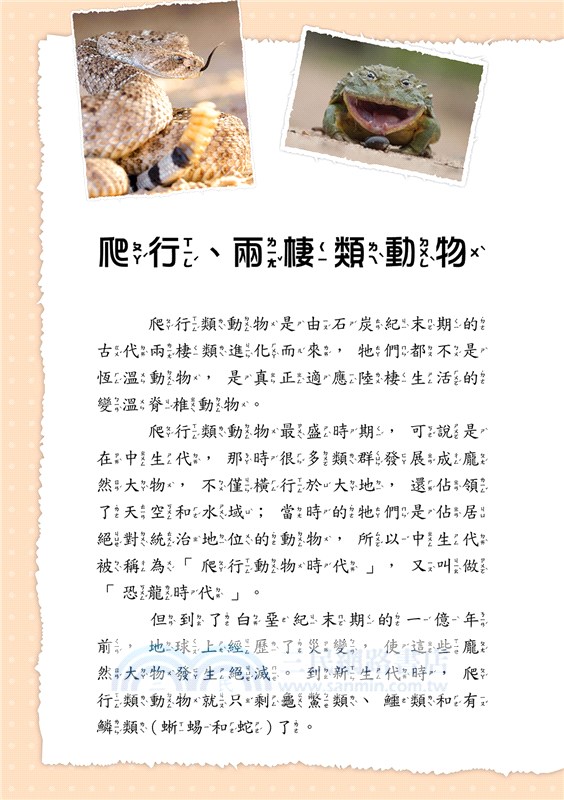 兩棲、爬行動物小百科