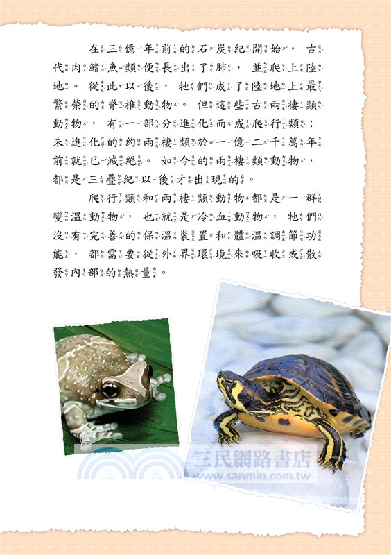 兩棲、爬行動物小百科