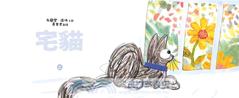 宅貓