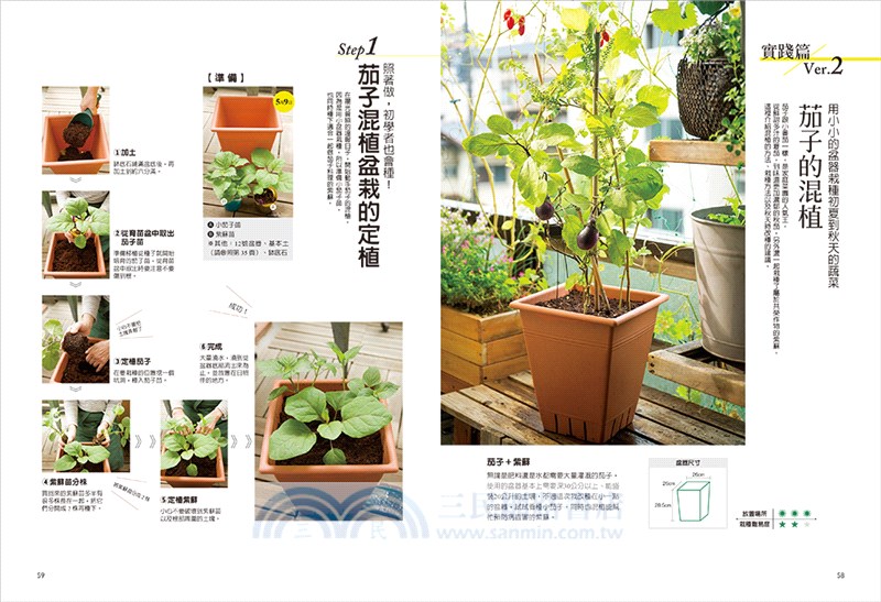 日日豐收的混植蔬菜盆栽：一盆混栽、四季共生！零農藥化肥、遠離病蟲害！一坪小陽台也能打造多元豐盛的菜園