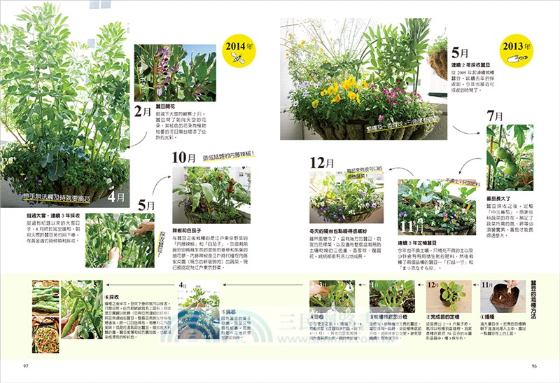 日日豐收的混植蔬菜盆栽：一盆混栽、四季共生！零農藥化肥、遠離病蟲害！一坪小陽台也能打造多元豐盛的菜園