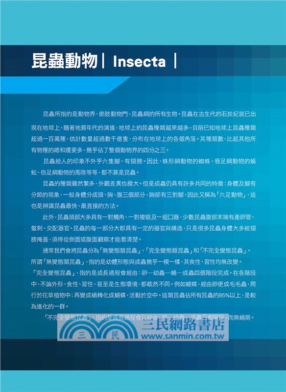 世界昆蟲動物圖鑑大百科