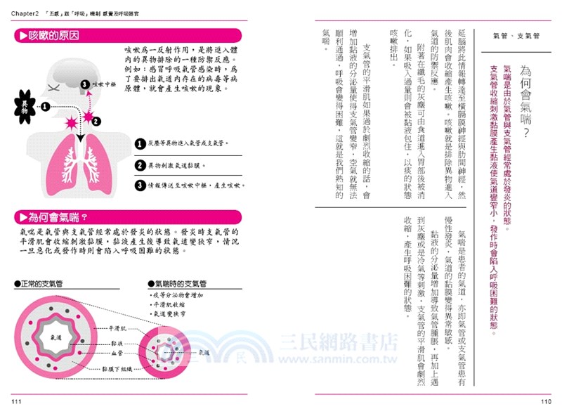 圖解屁的成分：3小時瞭解人體結構與器官運作