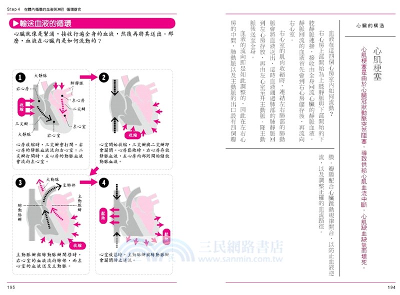 圖解屁的成分：3小時瞭解人體結構與器官運作