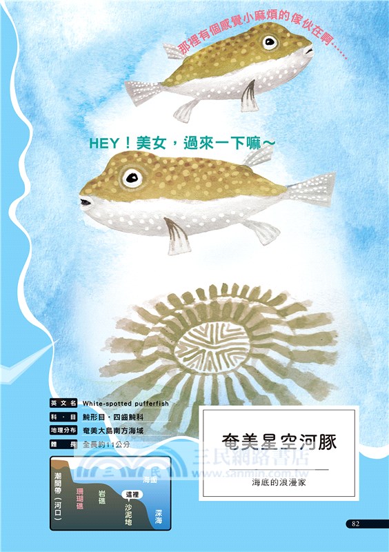 拚命求生的演化 奇怪又有趣的海洋生物圖鑑 三民網路書店