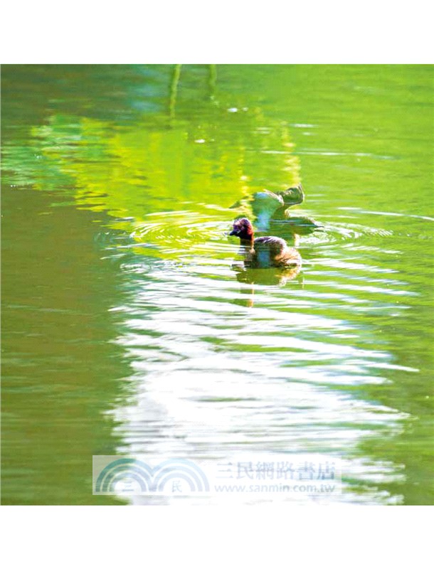 易中天品唐詩（攝影插圖版）