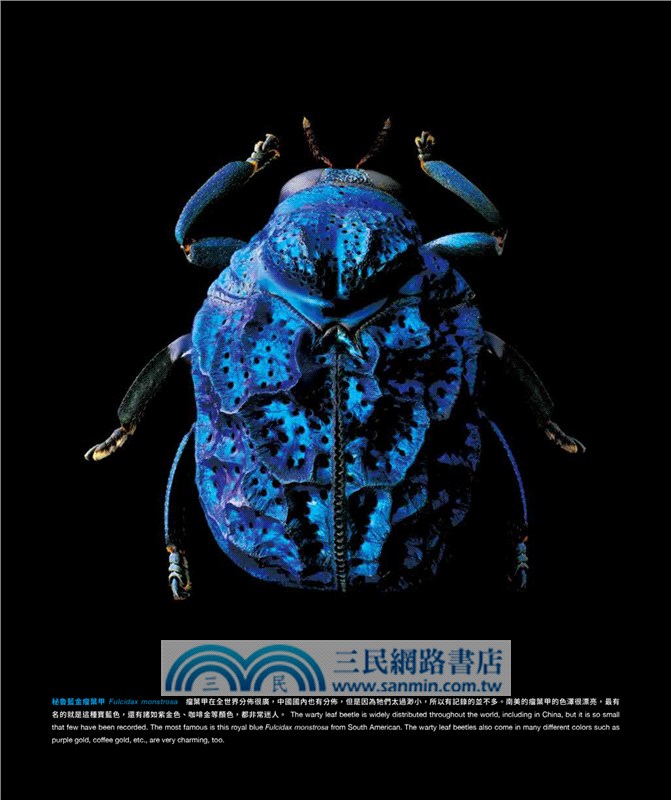 超微昆蟲圖鑒